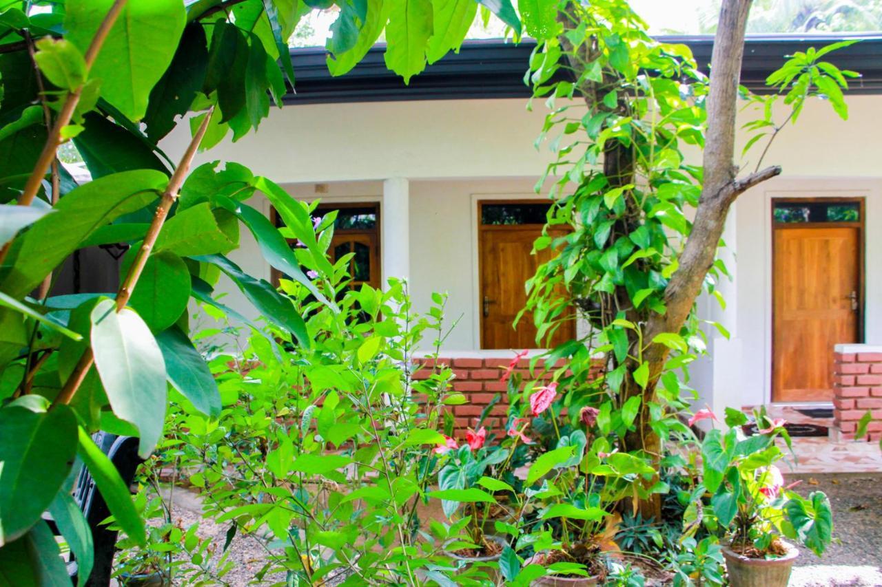 Galaxy View Homestay สิกิริยา ภายนอก รูปภาพ