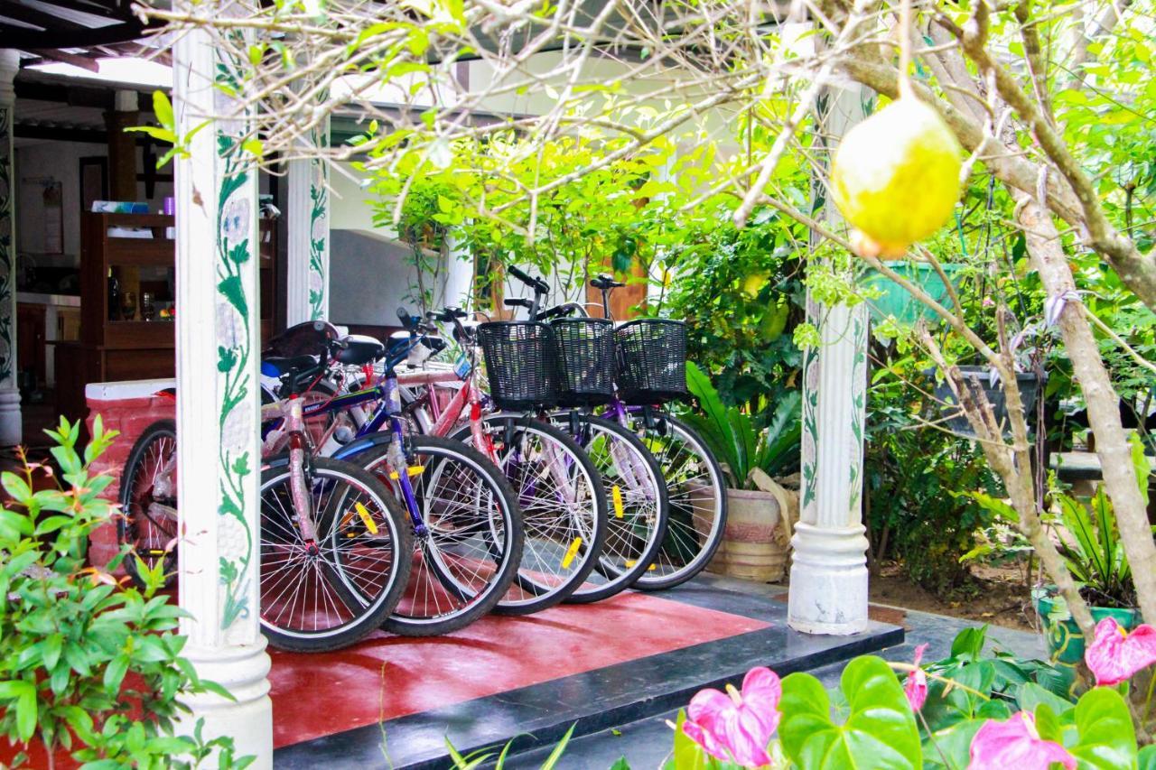 Galaxy View Homestay สิกิริยา ภายนอก รูปภาพ