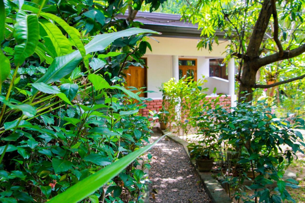 Galaxy View Homestay สิกิริยา ภายนอก รูปภาพ