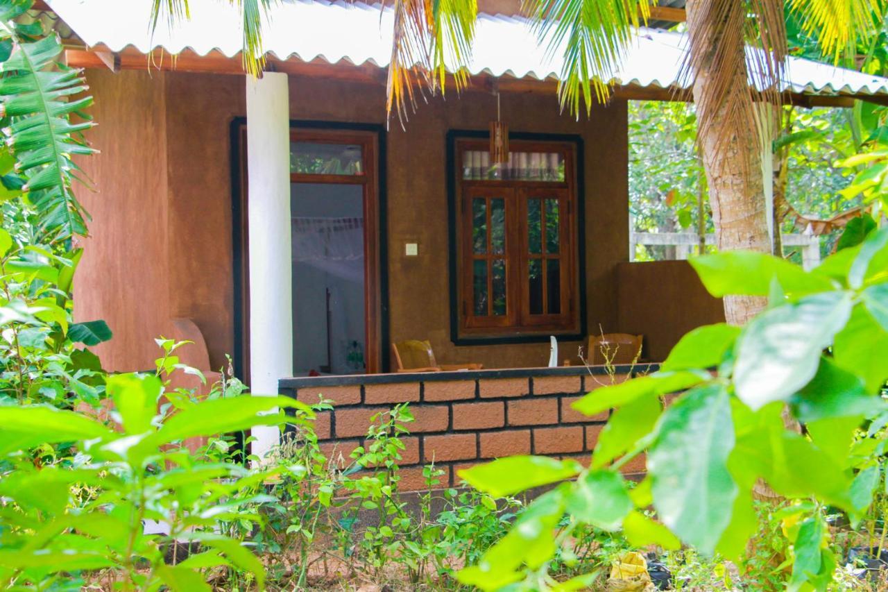 Galaxy View Homestay สิกิริยา ภายนอก รูปภาพ