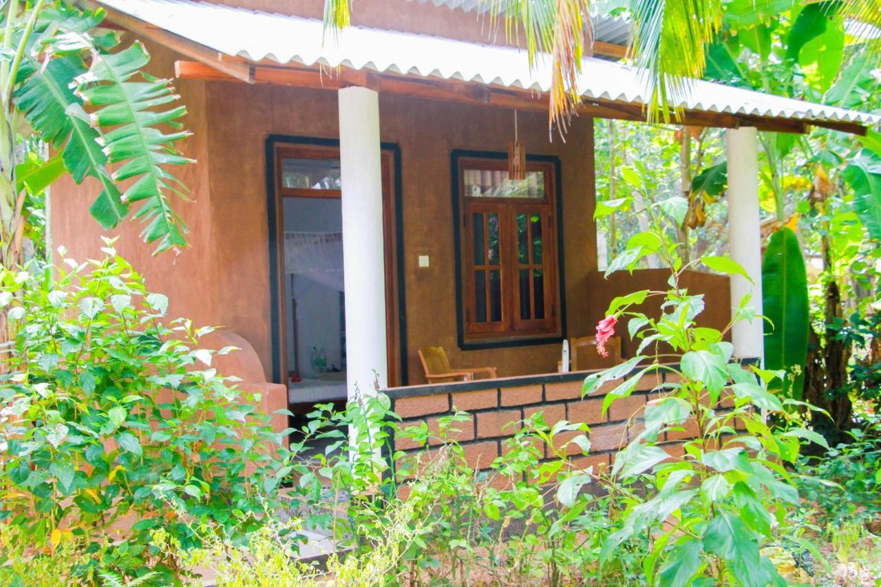 Galaxy View Homestay สิกิริยา ภายนอก รูปภาพ