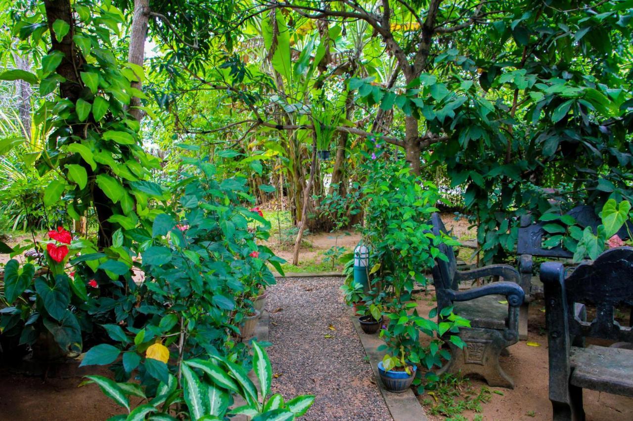 Galaxy View Homestay สิกิริยา ภายนอก รูปภาพ