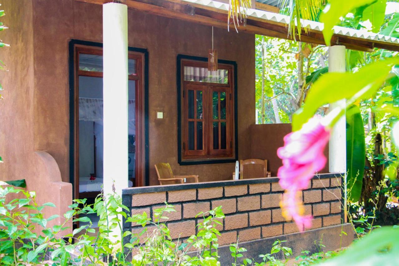 Galaxy View Homestay สิกิริยา ภายนอก รูปภาพ