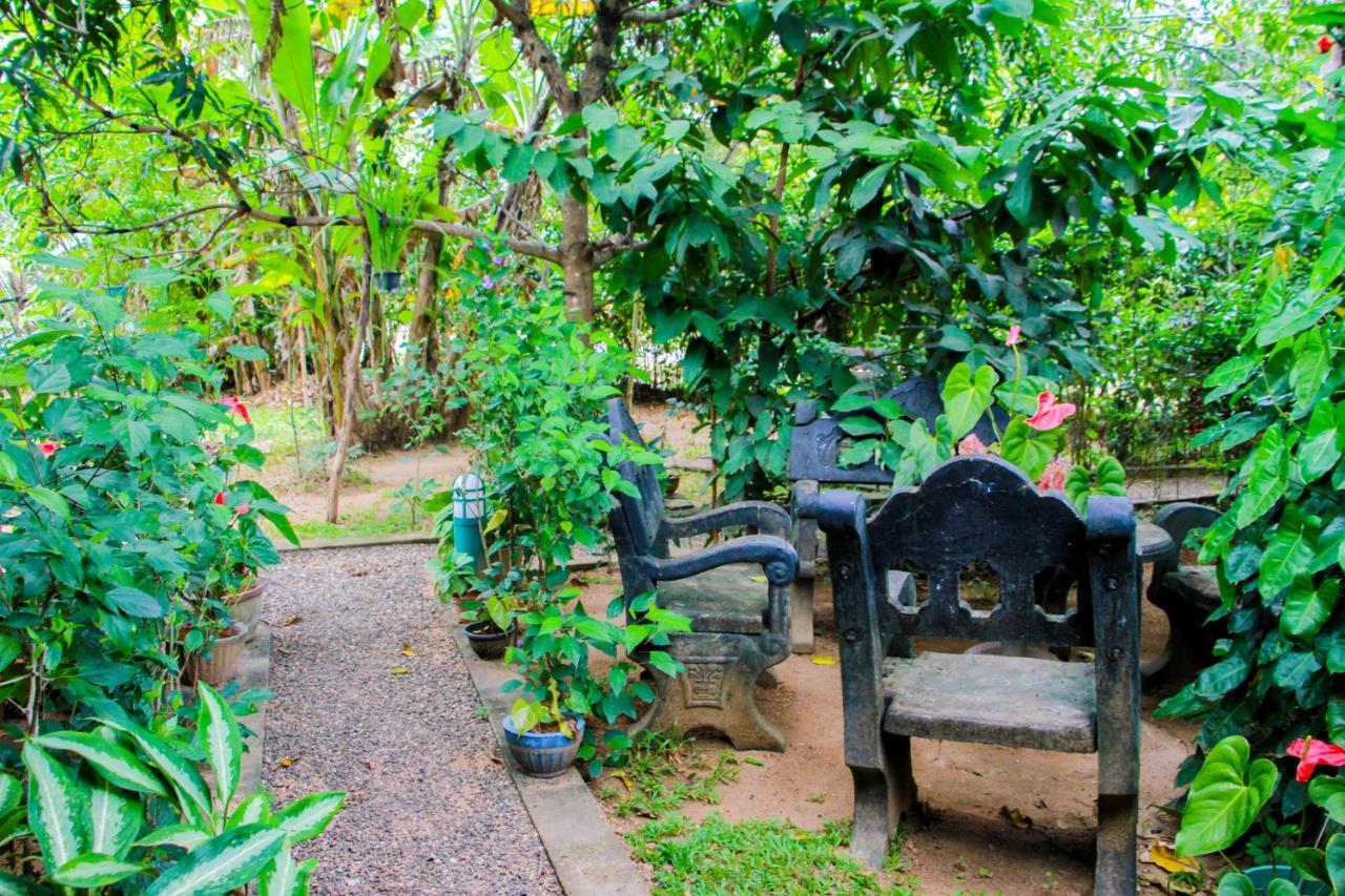 Galaxy View Homestay สิกิริยา ภายนอก รูปภาพ